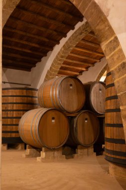 Eski büyük meşe fıçılarıyla şarap mahzeni ziyareti, Marsala, Sicilya 'da güçlendirilmiş kuru veya tatlı marsala şarabı üretimi, İtalya' da şarap endüstrisi