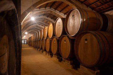 Eski büyük meşe fıçılarıyla şarap mahzeni ziyareti, Marsala, Sicilya 'da güçlendirilmiş kuru veya tatlı marsala şarabı üretimi, İtalya' da şarap endüstrisi