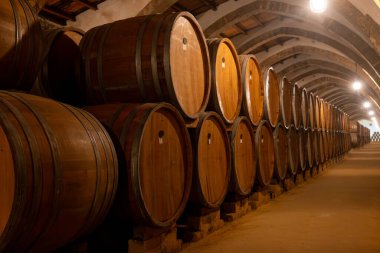 Eski büyük meşe fıçılarıyla şarap mahzeni ziyareti, Marsala, Sicilya 'da güçlendirilmiş kuru veya tatlı marsala şarabı üretimi, İtalya' da şarap endüstrisi
