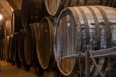 Eski büyük meşe fıçılarıyla şarap mahzeni ziyareti, Marsala, Sicilya 'da güçlendirilmiş kuru veya tatlı marsala şarabı üretimi, İtalya' da şarap endüstrisi