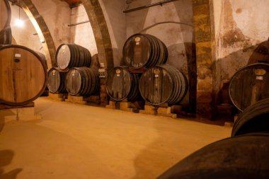 Eski büyük meşe fıçılarıyla şarap mahzeni ziyareti, Marsala, Sicilya 'da güçlendirilmiş kuru veya tatlı marsala şarabı üretimi, İtalya' da şarap endüstrisi