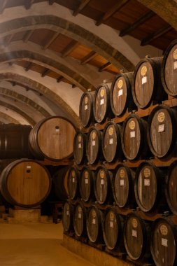 Eski büyük meşe fıçılarıyla şarap mahzeni ziyareti, Marsala, Sicilya 'da güçlendirilmiş kuru veya tatlı marsala şarabı üretimi, İtalya' da şarap endüstrisi