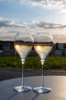 Beyaz şarap brut, büyük rezervler, yeşil üzüm bağlarında şampanya eski şaraplarda büyük Cru Ay-Şampanya köyü Vallee de la Marne 'da, şampanya, Fransa' da günbatımında, düğün konsepti