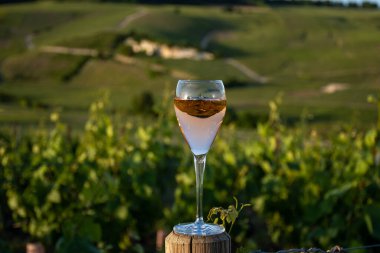 Gün batımında bir bardak gül ya da pembe köpüklü şarap, büyük rezerv, Ay-Şampanya 'da şampanya eski şaraplarda yeşil tepe üzüm bağlarında Vallee de la Marne, Fransa' nın Şampanya Bölgesi 'nde köy yapmak