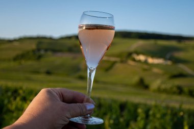 Bir bardak köpüklü şarap brut, büyük rezerv, yeşil tepe üzüm bağlarında şampanya ve Vallee de la Marne 'de eski şarap köyü manzaralı şampanya, Fransa