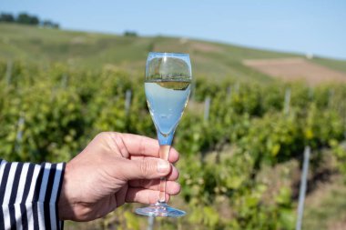 Beyaz, köpüklü şarap, büyük rezervler, Ay-Şampanya 'da şampanya eski şaraplarda yeşil tepe üzüm bağları Vallee de la Marne' da köy, Fransa 'nın Şampanya Bölgesi