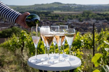 Beyaz ve gül tadım şarap brut, büyük rezerv, yeşil tepe üzüm bağlarında şampanya ve Vallee de la Marne 'da köy yapan eski şarap manzarası, şampanya, Fransa