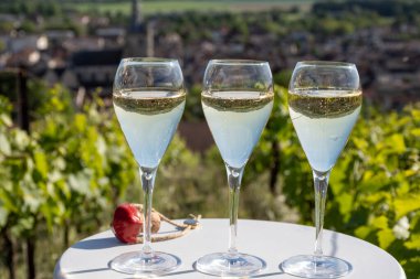 Kuru, köpüklü şarap brut, büyük rezervler, yeşil tepe üzüm bağlarında şampanya ve Vallee de la Marne, Fransa 'nın Şampanya Bölgesi' nde köy yapımı eski şaraplar.