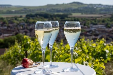 Kuru, köpüklü şarap brut, büyük rezervler, yeşil tepe üzüm bağlarında şampanya ve Vallee de la Marne, Fransa 'nın Şampanya Bölgesi' nde köy yapımı eski şaraplar.