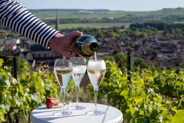 Kuru, köpüklü şarap brut, büyük rezervler, yeşil tepe üzüm bağlarında şampanya ve Vallee de la Marne, Fransa 'nın Şampanya Bölgesi' nde köy yapımı eski şaraplar.