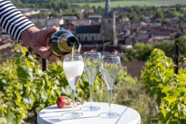 Kuru, köpüklü şarap brut, büyük rezervler, yeşil tepe üzüm bağlarında şampanya ve Vallee de la Marne, Fransa 'nın Şampanya Bölgesi' nde köy yapımı eski şaraplar.