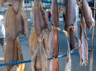 Oostende, Belçika 'da deniz gezintisine havayla ya da tuzlanmış morina balığıyla süslenmiş.