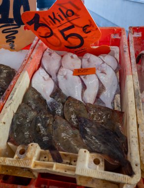 Oostende, Kuzey Denizi, Belçika 'da günün avı. Taze turbot, bot, bitkisel balıklar yakın plan.