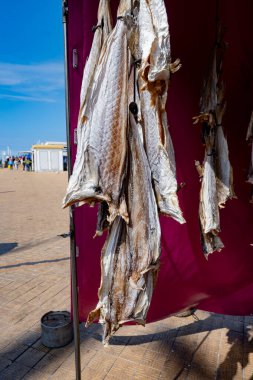 Oostende, Belçika 'da deniz gezintisine havayla ya da tuzlanmış morina balığıyla süslenmiş.