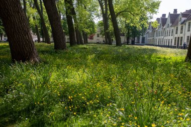 Bruges, Flanders 'da dantel ören rahibeler için ortaçağ manastırı, küçük beyaz evler ve Belçika' nın manastır duvarları içinde bir park.