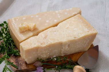 Geleneksel İtalyan yemekleri, 36 aylık mağaralardaki İtalyan parmesan peyniri Parmigiano-Reggiano ve Po River Valley, İtalya 'dan grana padano, yakın çekim.
