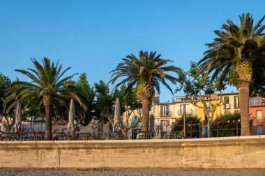 Renkli Collioure 'un sabah manzarası, dar sokaklar ve sarı, pembe, turuncu evler, yazlık tatil beldeleri tarihi buding ve plajlar, Pireneler-Orientales, Fransa