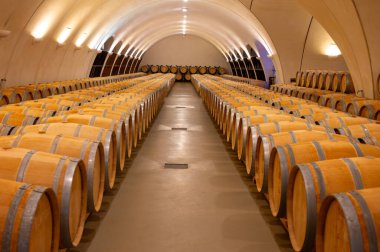 Cahors şarap üretim bölgesinde şarap fıçıları, kırmızı malbec şarapları, Fransa 'nın şatosunda şarap tatma, enotürizm