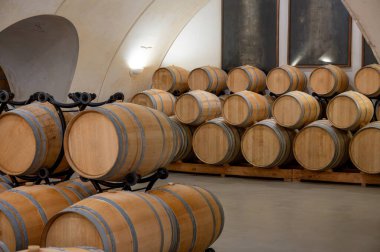 Cahors şarap üretim bölgesinde şarap fıçıları, kırmızı malbec şarapları, Fransa 'nın şatosunda şarap tatma, enotürizm