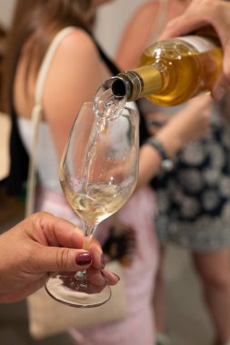 Collioure AOC tatma, Banyuls AOC beyaz, gül ve kırmızı şarap, doğal tatlı cru Banyuls güçlendirilmiş tatlı şarap Roussillon, Fransa 'daki Katalan Pireneleri' nin yamaçlarındaki eski sarmaşıklardan