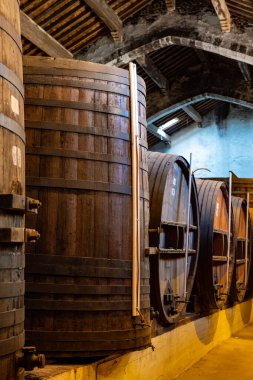 Collioure 'daki eski meşe fıçılarını ziyaret edin. Doğal tatlı kırmızı cru şarabı için eski meşe fıçıları. Banyuls, Katalan Pirenesi, Roussillon, Fransa' nın yamaçlarındaki eski sarmaşıklardan güçlendirilmiş tatlı şarabı.