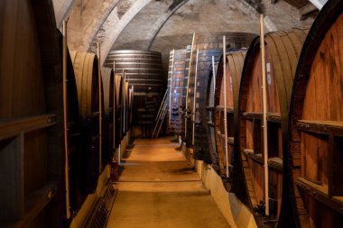 Collioure 'daki eski meşe fıçılarını ziyaret edin. Doğal tatlı kırmızı cru şarabı için eski meşe fıçıları. Banyuls, Katalan Pirenesi, Roussillon, Fransa' nın yamaçlarındaki eski sarmaşıklardan güçlendirilmiş tatlı şarabı.