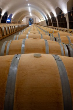 Cahors şarap üretim bölgesinde şarap fıçıları, kırmızı malbec şarapları, Fransa 'nın şatosunda şarap tatma, enotürizm