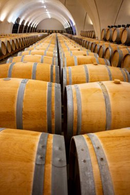 Cahors şarap üretim bölgesinde şarap fıçıları, kırmızı malbec şarapları, Fransa 'nın şatosunda şarap tatma, enotürizm