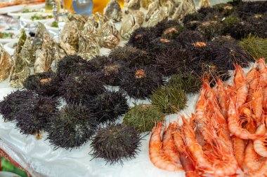 Palermo, Sicilya 'daki günlük yiyecek pazarında lezzetli taze pişmiş sokak yemekleri, seyahat yeri, yemek turizmi İtalya, çiğ, kavrulmuş, ızgara balık, deniz ürünleri, kalamar, deniz kestaneleri...