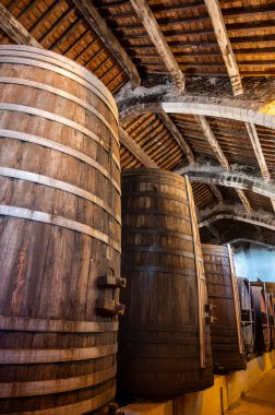 Collioure 'daki eski meşe fıçılarını ziyaret edin. Doğal tatlı kırmızı cru şarabı için eski meşe fıçıları. Banyuls, Katalan Pirenesi, Roussillon, Fransa' nın yamaçlarındaki eski sarmaşıklardan güçlendirilmiş tatlı şarabı.