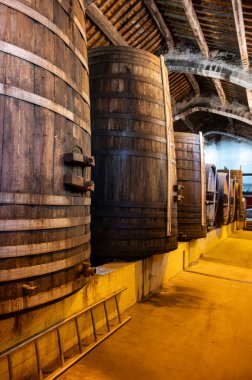 Collioure 'daki eski meşe fıçılarını ziyaret edin. Doğal tatlı kırmızı cru şarabı için eski meşe fıçıları. Banyuls, Katalan Pirenesi, Roussillon, Fransa' nın yamaçlarındaki eski sarmaşıklardan güçlendirilmiş tatlı şarabı.