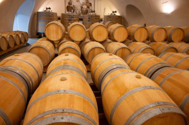 Cahors şarap üretim bölgesinde şarap fıçıları, kırmızı malbec şarapları, Fransa 'nın şatosunda şarap tatma, enotürizm