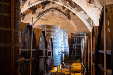 Collioure 'daki eski meşe fıçılarını ziyaret edin. Doğal tatlı kırmızı cru şarabı için eski meşe fıçıları. Banyuls, Katalan Pirenesi, Roussillon, Fransa' nın yamaçlarındaki eski sarmaşıklardan güçlendirilmiş tatlı şarabı.