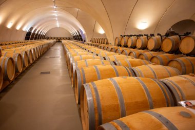 Cahors şarap üretim bölgesinde şarap fıçıları, kırmızı malbec şarapları, Fransa 'nın şatosunda şarap tatma, enotürizm