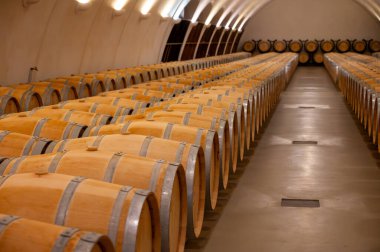 Cahors şarap üretim bölgesinde şarap fıçıları, kırmızı malbec şarapları, Fransa 'nın şatosunda şarap tatma, enotürizm