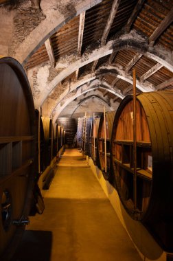 Collioure 'daki eski meşe fıçılarını ziyaret edin. Doğal tatlı kırmızı cru şarabı için eski meşe fıçıları. Banyuls, Katalan Pirenesi, Roussillon, Fransa' nın yamaçlarındaki eski sarmaşıklardan güçlendirilmiş tatlı şarabı.