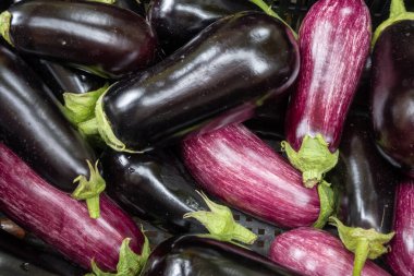 Taze organik sebzeler mor patlıcanlar, diyet konsepti, İtalyan ve Fransız yemekleri, gıda pazarında sağlıklı yiyecekler.