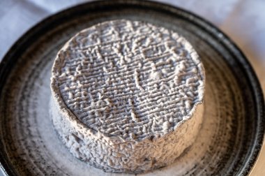 Fransız keçi peyniri sade peyniri siyah küflü, Fransa, peynir tatma