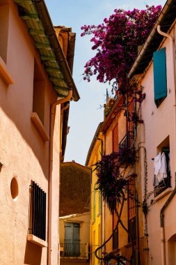 Renkli Collioure manzarası, dar sokaklar ve sarı, pembe, turuncu evler, yazlık tatil beldeleri tarihi buding ve plajlar, Pirenes-Orientales, Fransa yazın