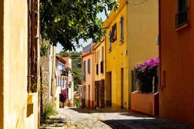 Renkli Collioure manzarası, dar sokaklar ve sarı, pembe, turuncu evler, yazlık tatil beldeleri tarihi buding ve plajlar, Pirenes-Orientales, Fransa yazın