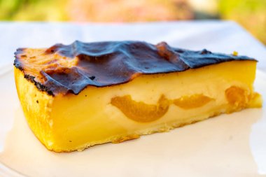 Bir parça tatlı Fransız tatlı taze peynirli kek taze kayısılarla pişirildi, açık havada servis edildi.