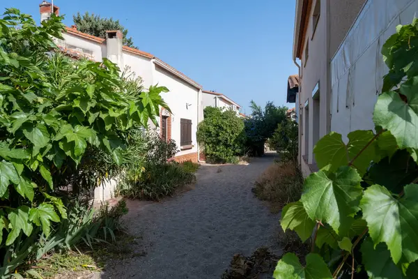 Le Racou hamleti Argeles-sur-Mer 'deki küçük yazlık evler, ya da Katalan' daki kuytu köşeler, Akdeniz kıyısındaki tipik yerler, kumlu yollar, Fransa 'nın Collioure kenti yakınlarındaki turistler.