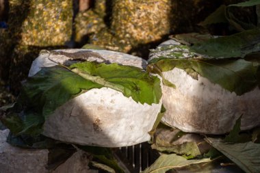 Sfizioso, İtalyan kestane ağacıyla olgunlaşmış. İtalya 'nın Lombardiya bölgesinin Gorgonzola şehrinde haftalık pazara koyunlu pekora sütünden peynirli, kaliteli İtalyan peyniri bırakıyor.