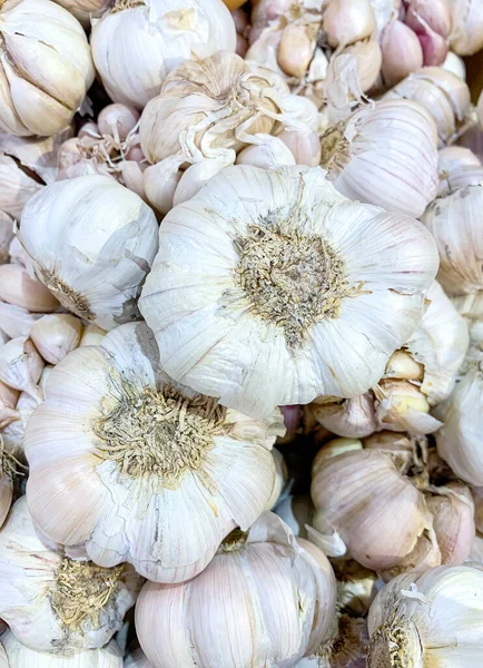 stock image a bunch of garlic in the fresh market