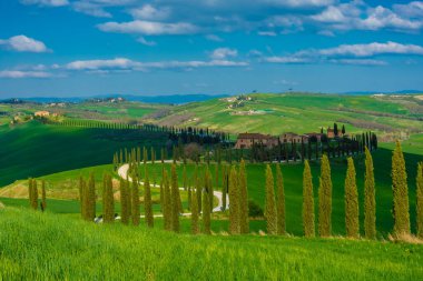 Farmhouse at the end of a country road flanked with cypresses in the middle among the hills of Tuscany, Italy