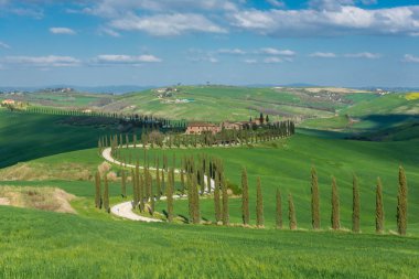 Farmhouse at the end of a country road flanked with cypresses in the middle among the hills of Tuscany, Italy