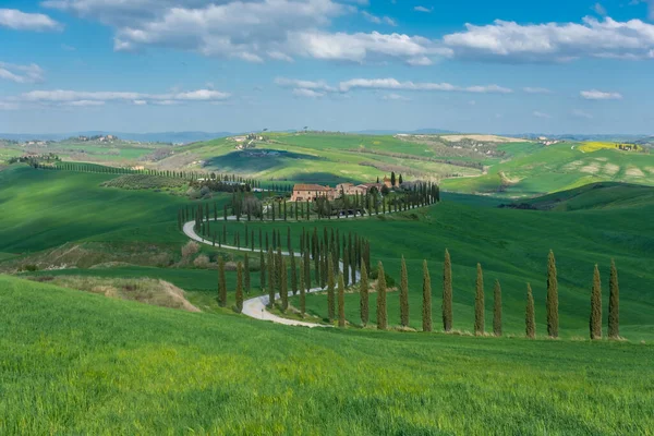 Farmhouse End Country Road Flanked Cypresses Middle Hills Tuscany Italy — Stock Fotó
