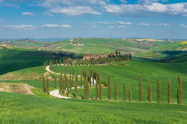 Farmhouse End Country Road Flanked Cypresses Middle Hills Tuscany Italy — Stock Fotó