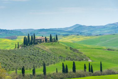 İtalya 'nın Toskana otlağındaki bir tepenin üzerinde yapayalnız bir çiftlik.
