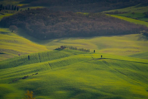 Beautiful Green Hills Countryside Tuscany Italy — Stok fotoğraf